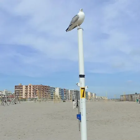 Janislove34 Maison 1 Avec Accès Piscine Dans Résidence à Les Flots *