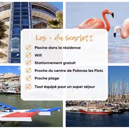 Janislove34 Maison 1 Avec Accès Piscine Dans Résidence à Les Flots Hébergement de vacances Palavas-les-Flots